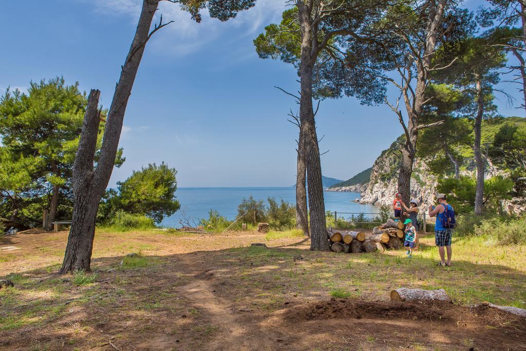 Apartment Lujak Donje Celo Esterno foto